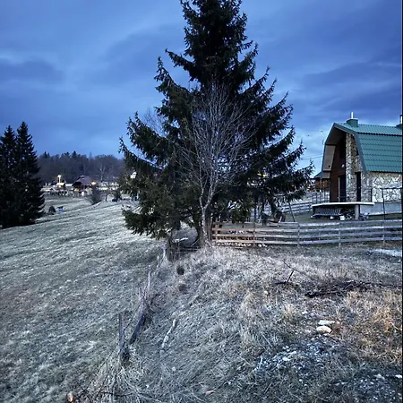 Planinski Beg, Tara, Sekulici