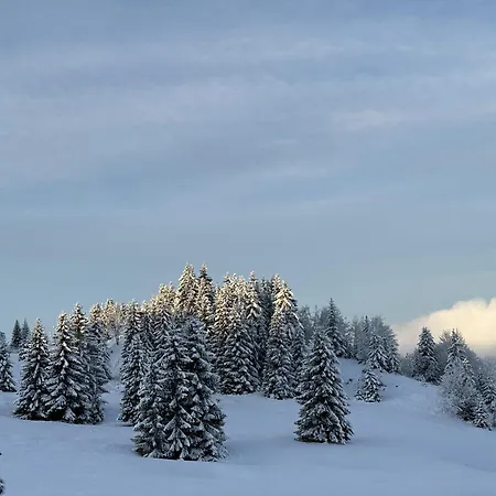 Planinski Beg, Tara, Sekulici Apartament *