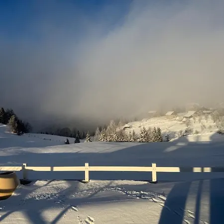 Planinski Beg, Tara, Sekulici Sekulic