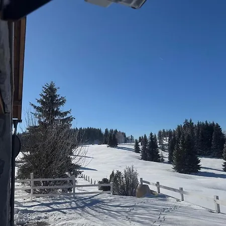 Planinski Beg, Tara, Sekulici Lejlighed