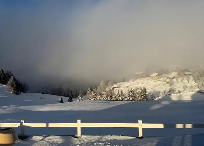 Planinski Beg, Tara, Sekulici Sekulic