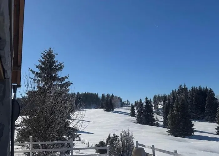 Planinski Beg, Tara, Sekulici Διαμέρισμα